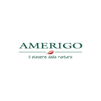 AMERIGO